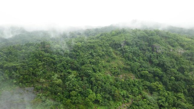 Mysuru, Karnataka, India-June 22 2025; A Cloud of Mist rising up a rainforest near a waterfall, monsoon, fog, smoke, water, nature, landscape, in the western Ghats of Karnataka, India.
