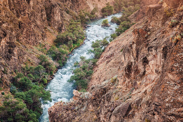 Scenic landscape of Black or Charyn canyon with river flowing through steep rocky slopes and green...