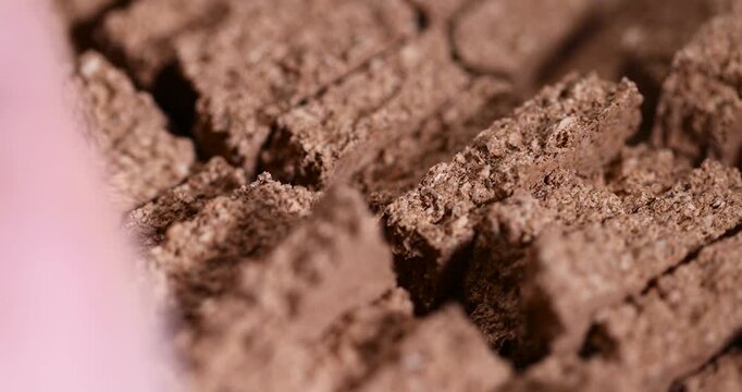 cork wood a natural soft and durable material that is obtained from the bark of a cork tree , broken cork wood panel