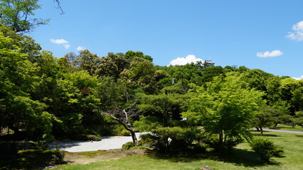 Japanese Garden Yūraku-en, Inuyama, Aichi, Japan