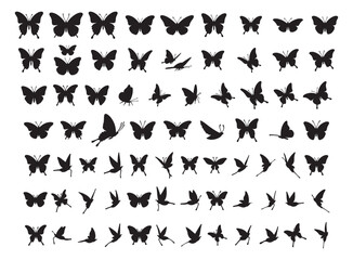  Extensive set of butterfly silhouettes in various flight and resting poses, ideal for nature designs, spring themes, decorative artwork, and insect-related graphic projects.