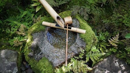 Yūraku-en, Inuyama, Aichi, Japan