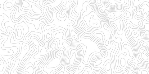 Abstract topography background. Geographic line map with elevation assignments. Seamless wavy layers pattern on white background. Retro topographic map.