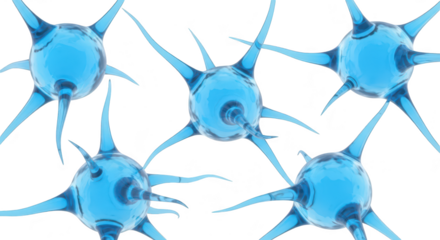 Five blue neuron cells model in a bright white studio background depicting the human brain's structure ideal for science and educational purposes