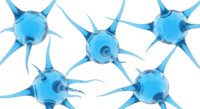 Five blue neuron cells model in a bright white studio background depicting the human brain's structure ideal for science and educational purposes - Powered by Adobe