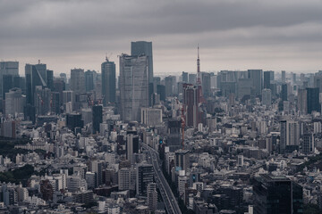 渋谷スカイから見た東京の街並み