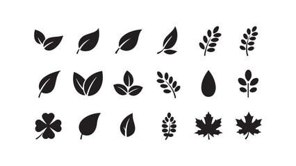 Leaf icons set, foliage elements, nature symbols collection