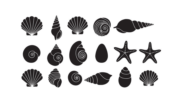 Seashells and starfish collection, marine life icons