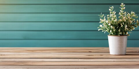 A small potted variegated plant sits on a wooden table against a teal horizontal slat wall background.