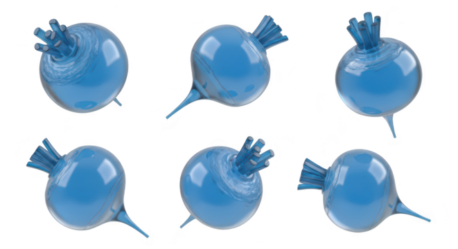 Stylized blue beets in multiple perspectives floating on a white background ideal for food design or creative projects