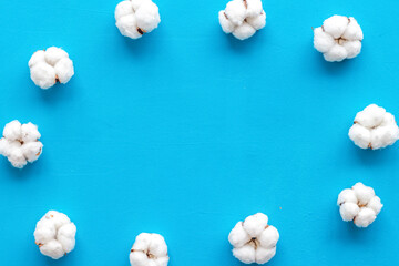 Cotton flowers frame on blue background top view copy space