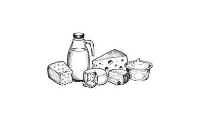 Variety of dairy products: milk, cheese, and yogurt in line art illustration. Vector retro hand drawn illustration