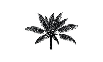 Obraz premium Black silhouette of tropical palm tree on white background. Vector retro hand drawn illustration