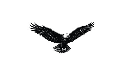 Obraz premium Monochrome illustration of eagle in flight with outstretched wings. Vector retro hand drawn illustration