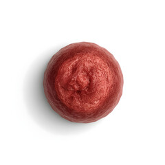 red onion isolated on white background