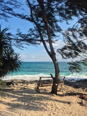 Tree on the beach, peace and thoughts
Indian Ocean