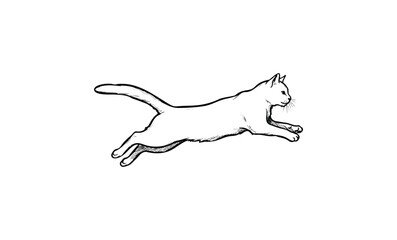 Obraz premium Sketch of a leaping cat on white background. Vector retro hand drawn illustration