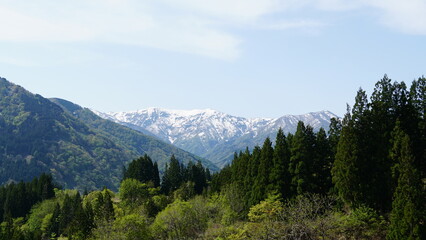 Fototapeta premium Gokayama Gassho-Zukuri Villages: A Living World Heritage in Toyama, Japan