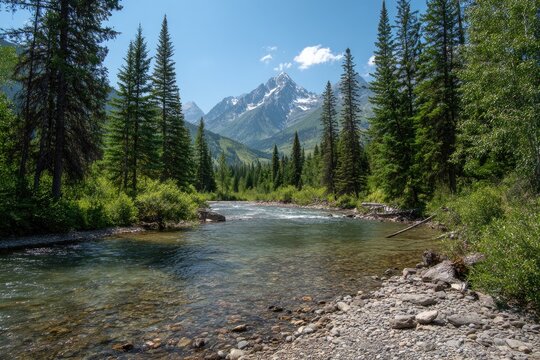 Mountain stream nestled in a valley