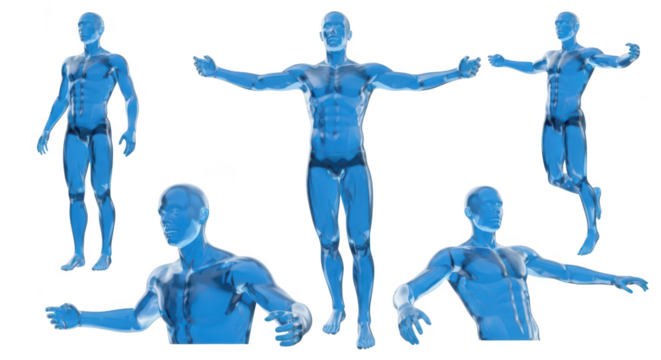 Transparent blue male figures posing in various stances against a white background ideal for medical or artistic illustrations