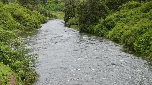 A beautiful video of water flow of small river near to Ooty town, Called Paykara river. 