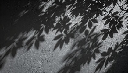 Abstract natural tree leaves shadow on black wall background