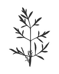 Openwork silhouette of dark leaf, isolated on white background. Imprint, stamp, ink.