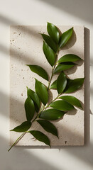 Lush Green Leaves on Textured Stone with Dramatic Shadow Play and Light