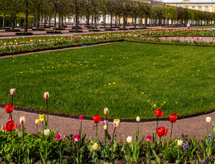 Green grassy lawn with tulips on the sides.