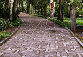 Stone road for walking in the park on a summer day.