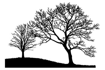 leafless trees 2 silhouettes