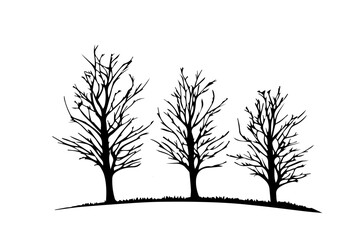 leaveless trees silhouette