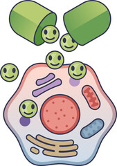 An illustration of an anti-aging supplement capsule releasing beneficial molecules into a biological cell, symbolizing cellular rejuvenation, repair, and vitality for longevity.