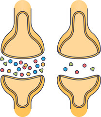 Diagram comparing a healthy synapse with abundant neurotransmitters to one with a deficiency, illustrating a neurotransmitter imbalance. Main objects are neurons and chemical messengers.
