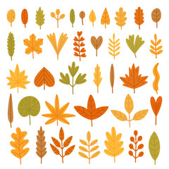 Big set of autumn leaves. Hand-drawn yellow leaves collection. Cartoon illustrations in flat style. Vector design elements