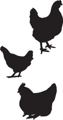 hen silhouettes