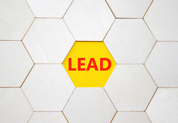 Lead symbol. Concept word Lead on wooden comb puzzle. Beautiful yellow background. Business and...