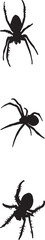 spiders silhouettes