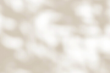 Brown shadow of tree plant leaves overlay on cream wall. Sunlight effect shadow on the wall. Minimal blurred backdrop backgrounds. Autumn summer tropical surface background.