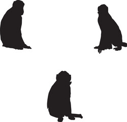 silhouettes of bears of monkey 
