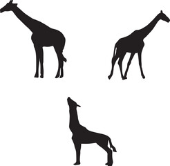 giraffe silhouette vector
