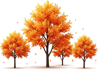 Autumn Trees in Full Bloom with Falling Leaves on White Background