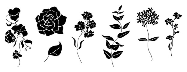 Set of elegant wildflower silhouettes including vines, leaves, and blossoms. Black botanical vector elements isolated on transparent background, perfect for design, nature, and floral decor projects.