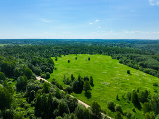 An aerial view of a vast green field with scattered trees, bordered by a dense forest, under a...