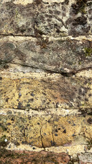 This close-up view showcases a weathered stone wall displaying a mix of textures, colors, and patterns, highlighting the impact of time and the elements on its surface