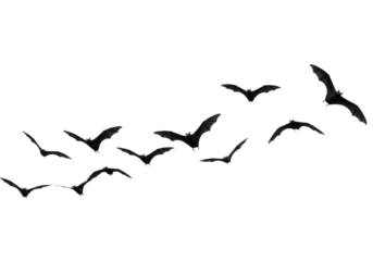 Flying Bats in Formation – Spooky Halloween Silhouette on White