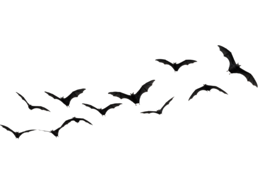 Flying Bats in Formation – Spooky Halloween Silhouette on White