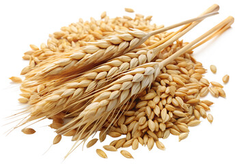 Barley generative ai