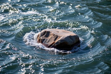 Rock Surrounded by Rippling Water in Natural Outdoor Environment