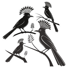 Silhouette Illustration of Amazonian Royal Flycatcher Birds Perched on Branches with Elegant Crests